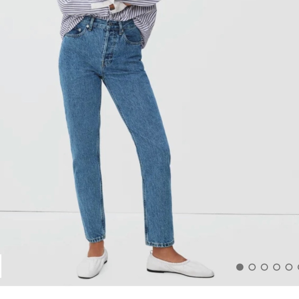 NEW W/ TAGS Size 27 Everlane 90s Cheeky Jeans (Ankle Length)